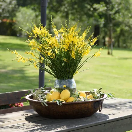 La Villa Di Primo Villa *